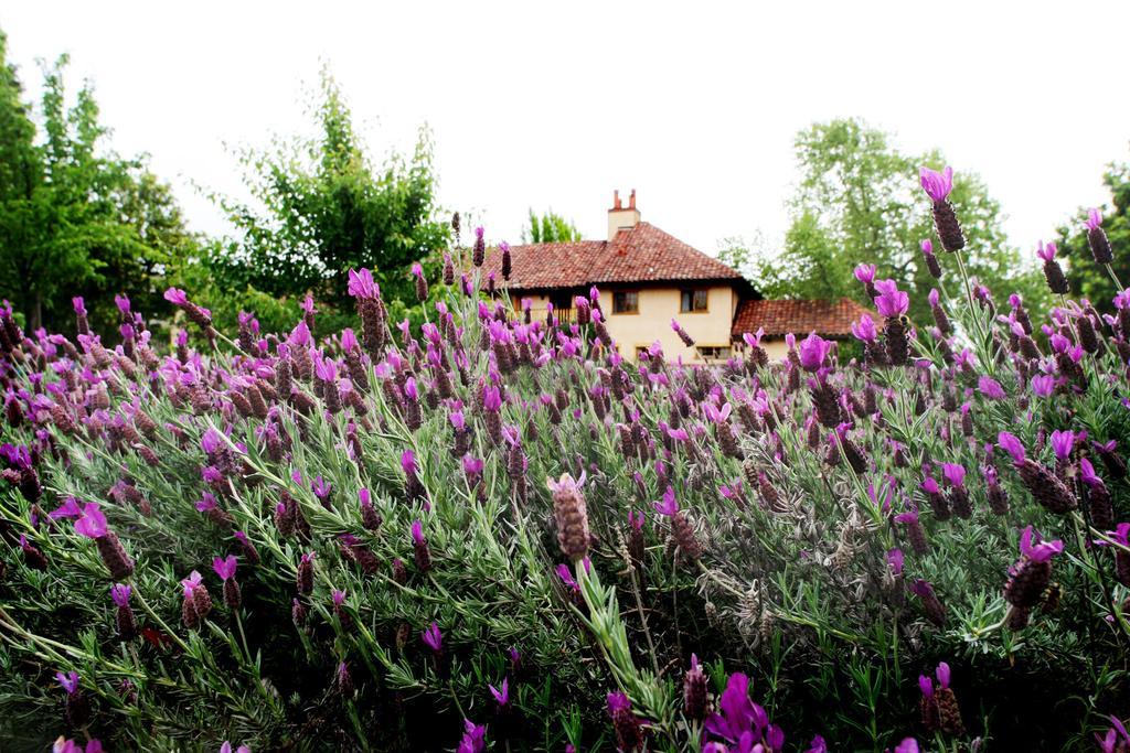 Rancho Caymus Inn Rutherford Екстериор снимка